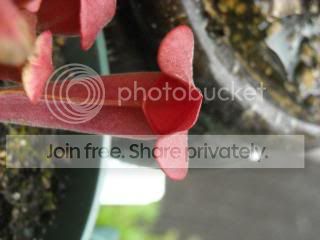 DSCN0401-2.jpg