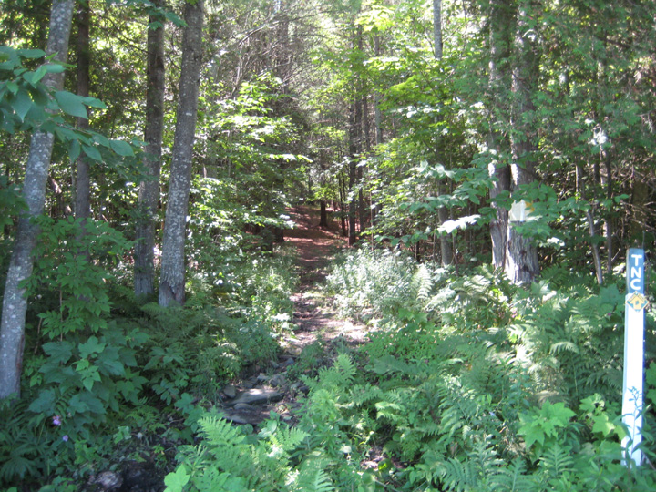 entrance.jpg
