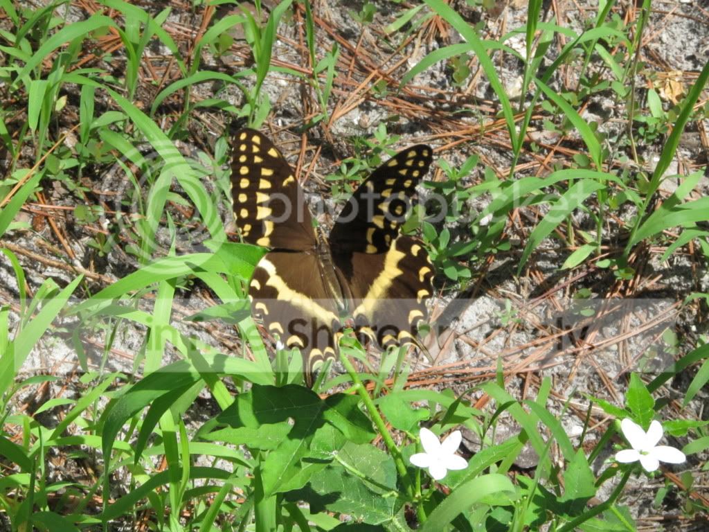 IMG_6400.jpg