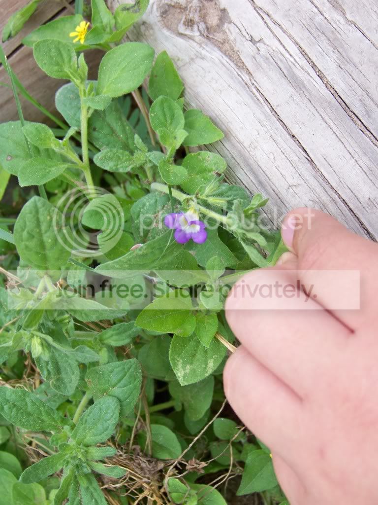 100_3064.jpg