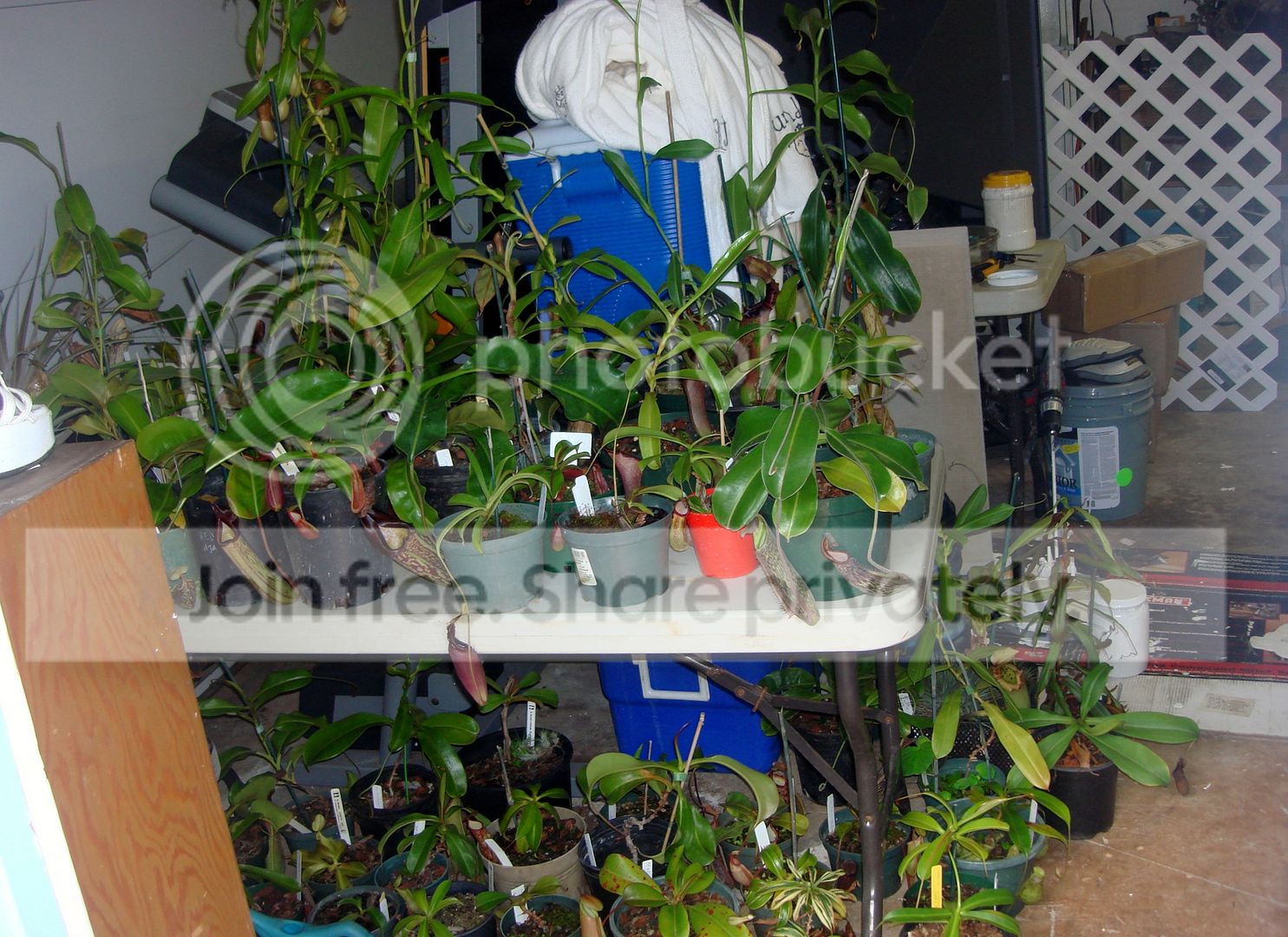 DSC08291.jpg