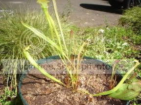 Picture002.jpg