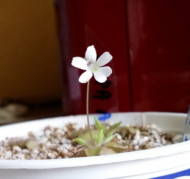 20130111.jpg