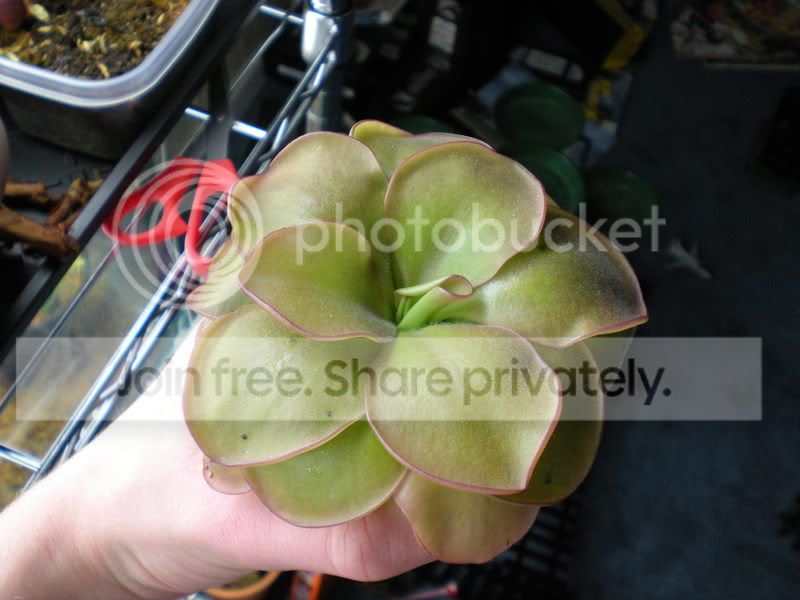 DSCN0109.jpg