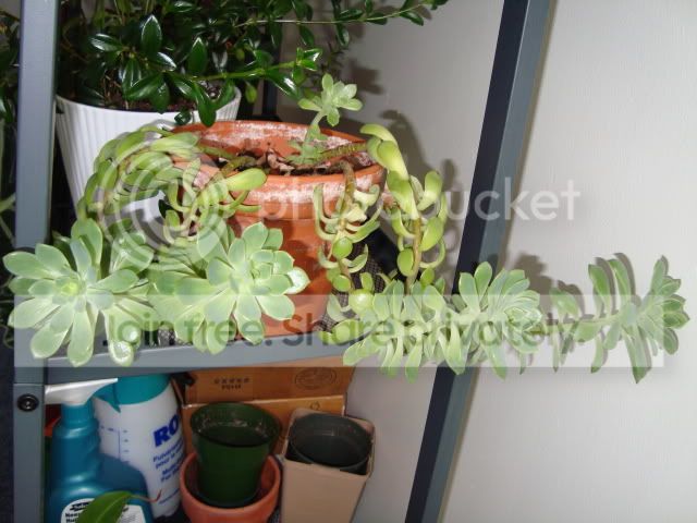 DSC00066.jpg