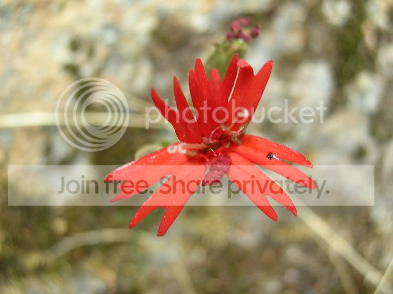 DSCN1996.jpg