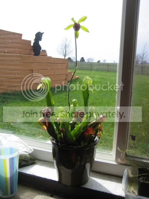 picture017.jpg
