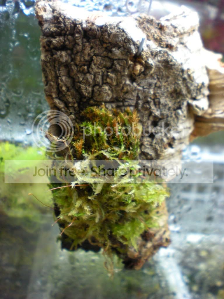 DSCN3487.jpg