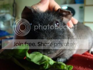 DSC01164.jpg