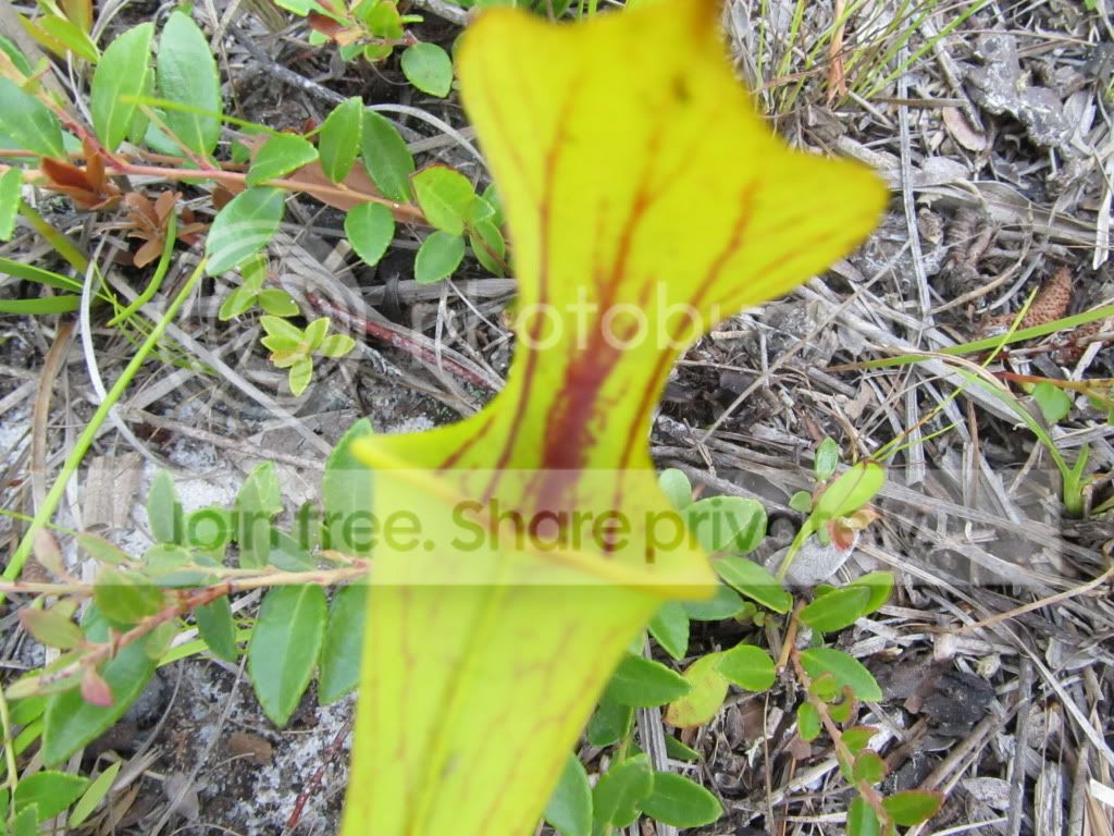 IMG_5921.jpg