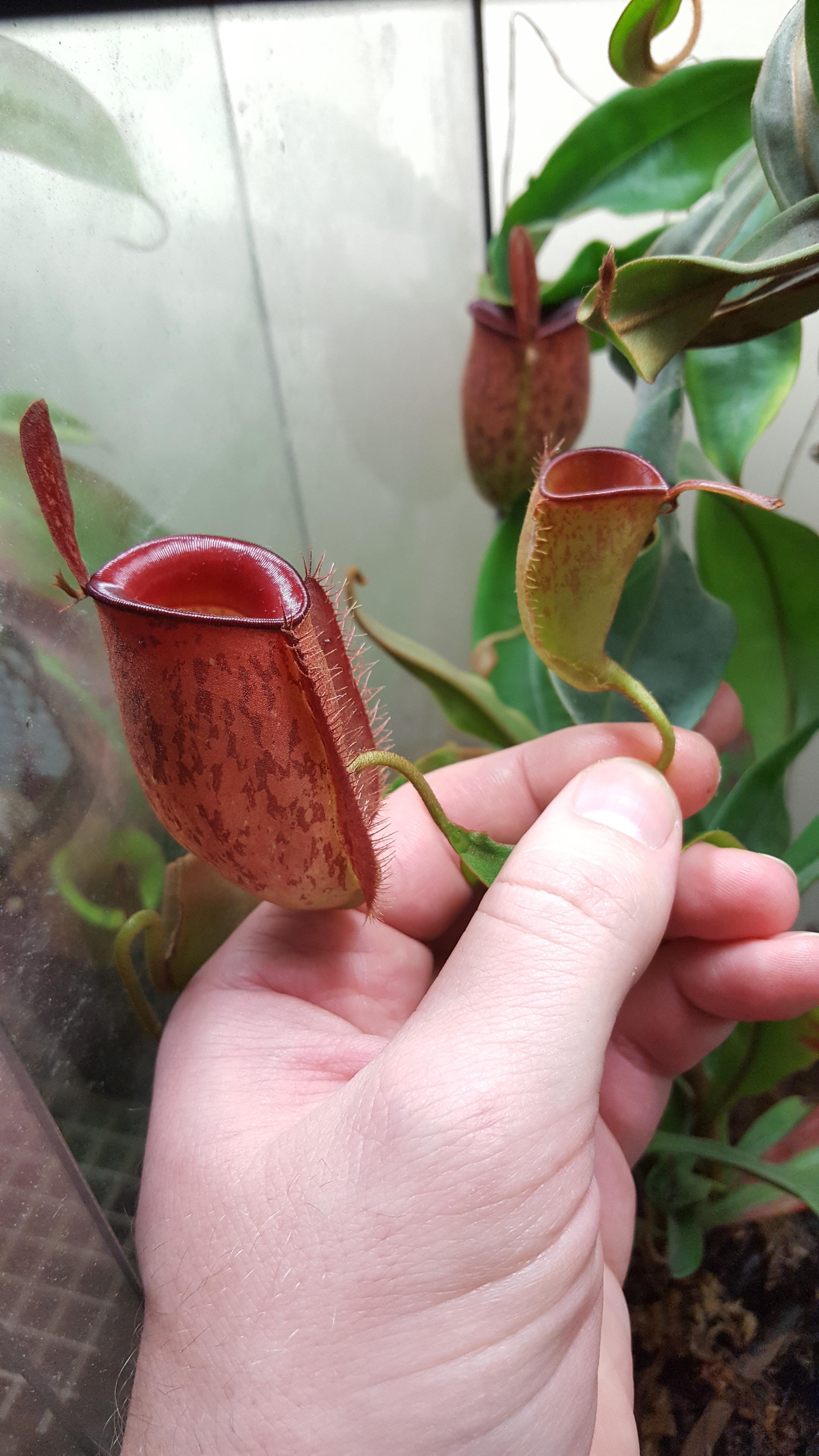 UeYJL1x.jpg