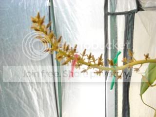 DSCN0092-3.jpg