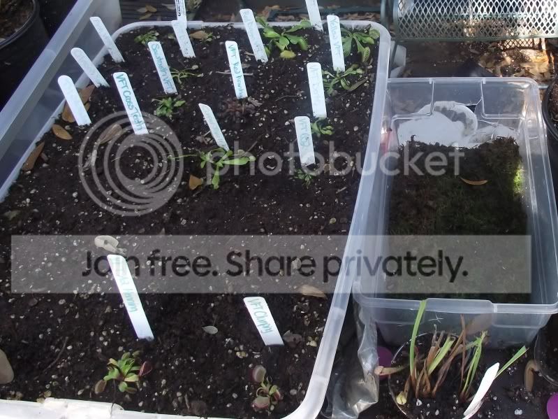 DSCF6708.jpg