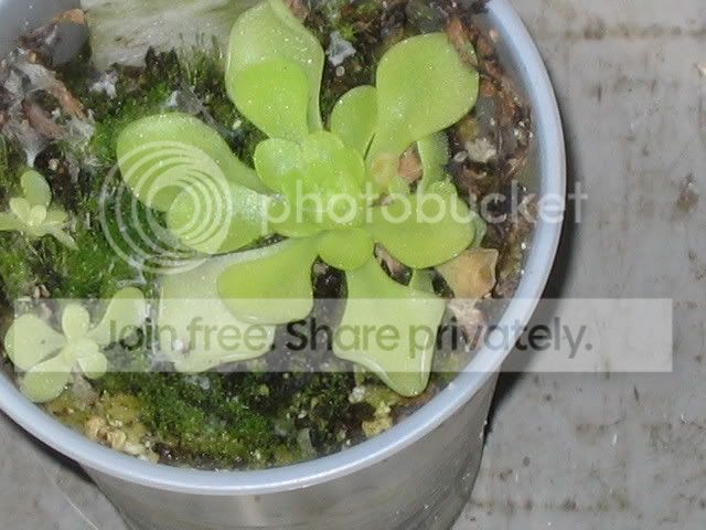 IMG_0121.jpg