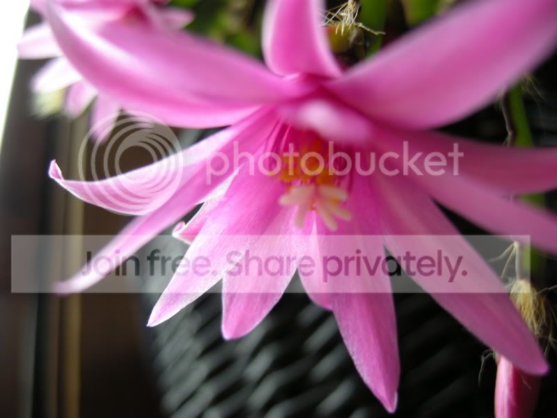DSCN6034.jpg