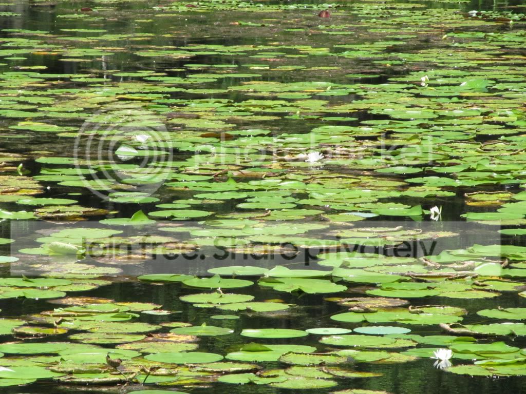 IMG_6388.jpg
