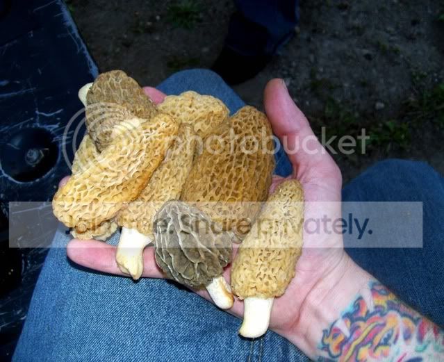100_3526.jpg