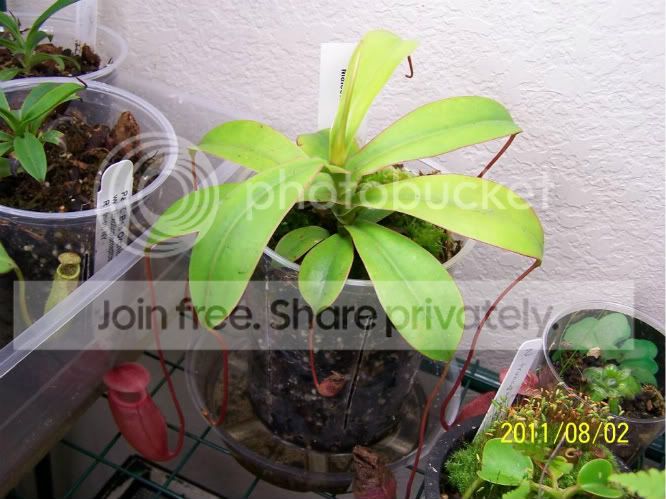 100_4968.jpg