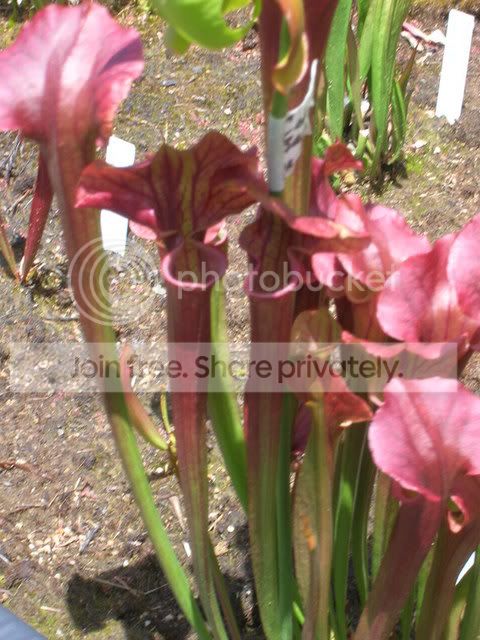 DSCN1670.jpg