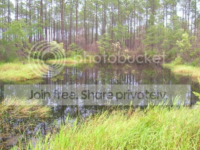 DSCN1784.jpg