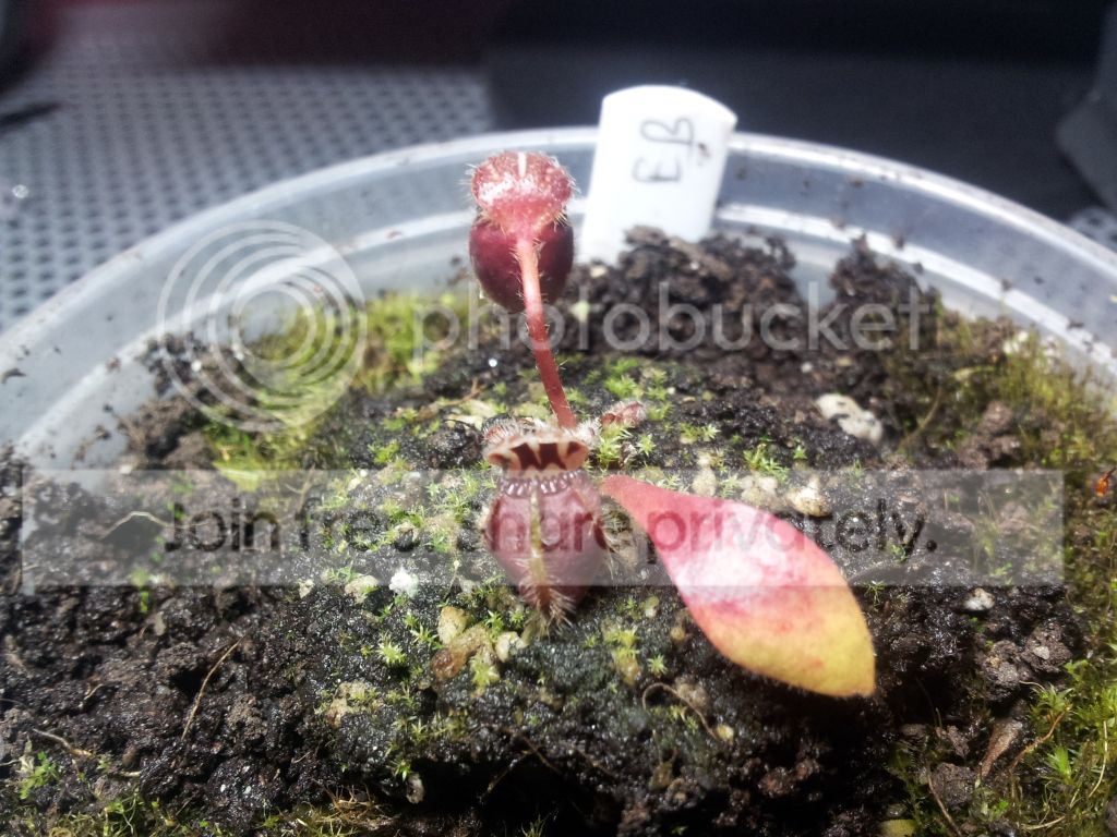 20120922_232814_zps8db19c40.jpg