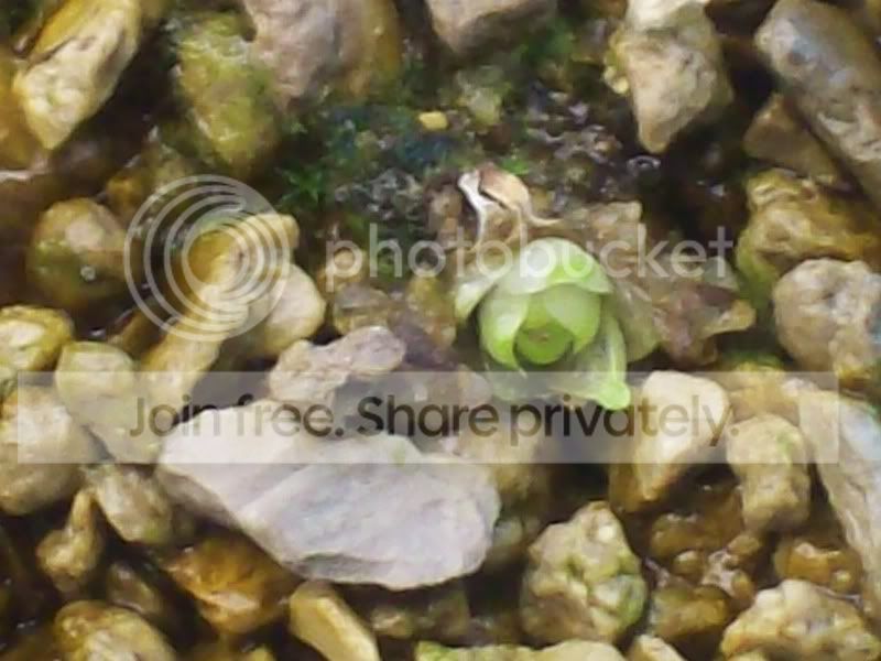 Picture017-4.jpg