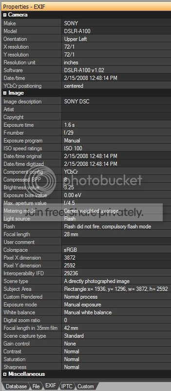 EXIF-info.jpg