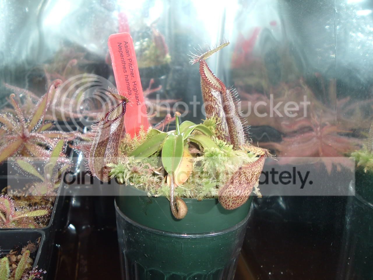 DSCF2348.jpg