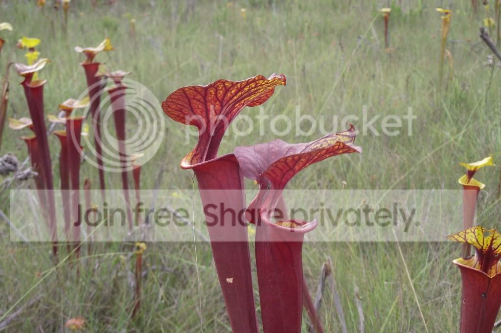 DSCF8227.jpg