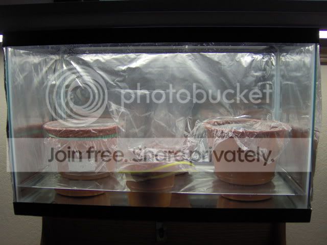 100_0167.jpg