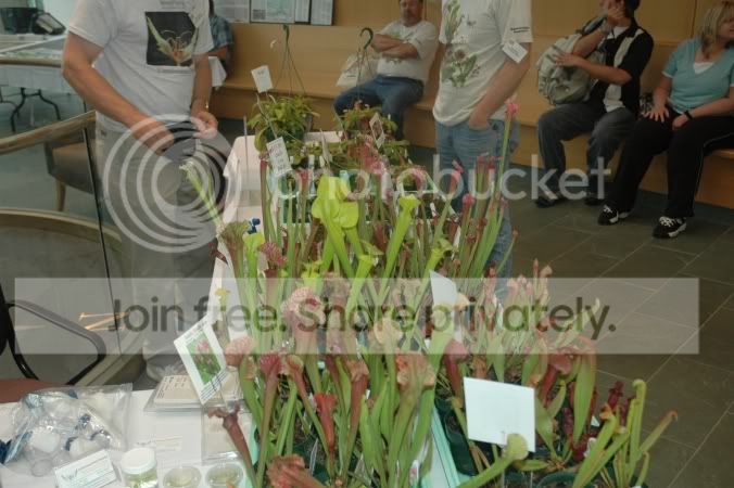 2006-6-5_ICPS_Meeting_514.jpg