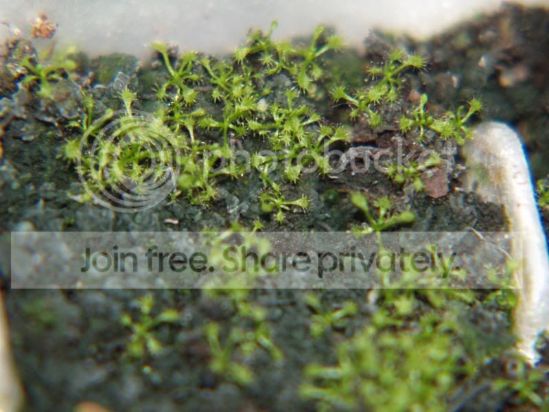 dcapensis2021809.jpg