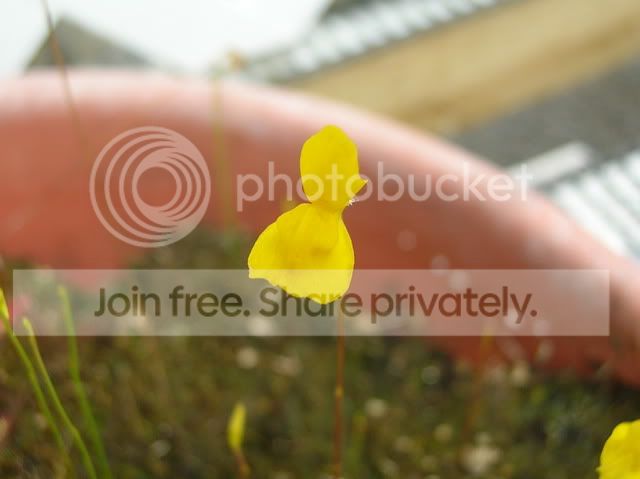 DSCN4379.jpg