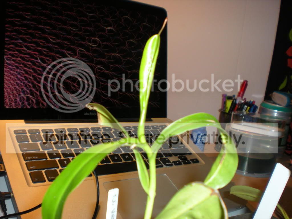 DSCN7508.jpg