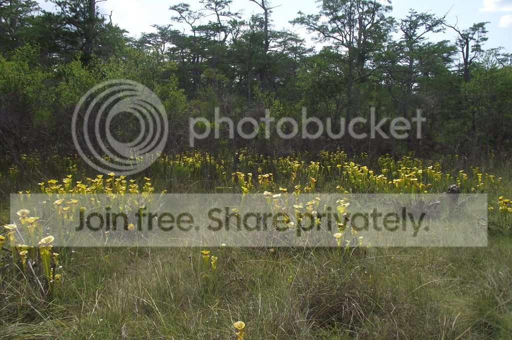 DSCF8572.jpg