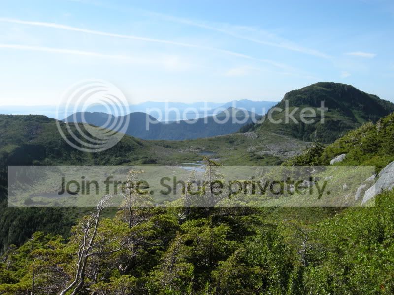 DSCN6238.jpg