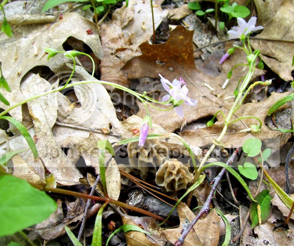 100_8274.jpg