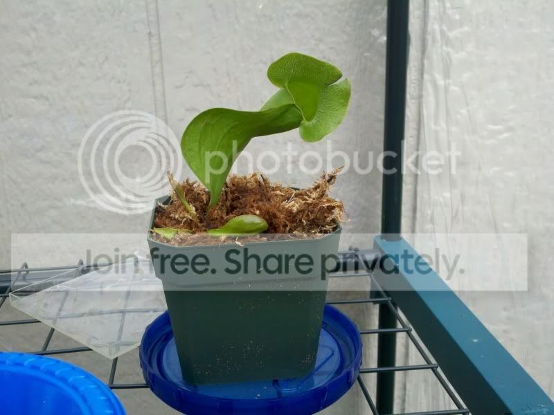 2011-04-20_17-22-09_711.jpg