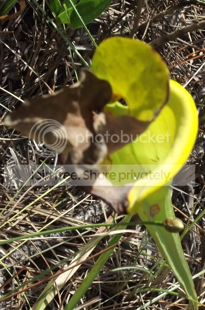 DSCF8517.jpg