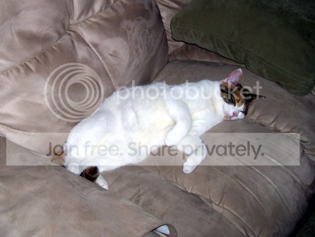 100_5350.jpg