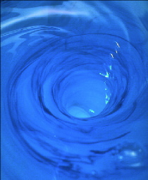 motion_38.jpg