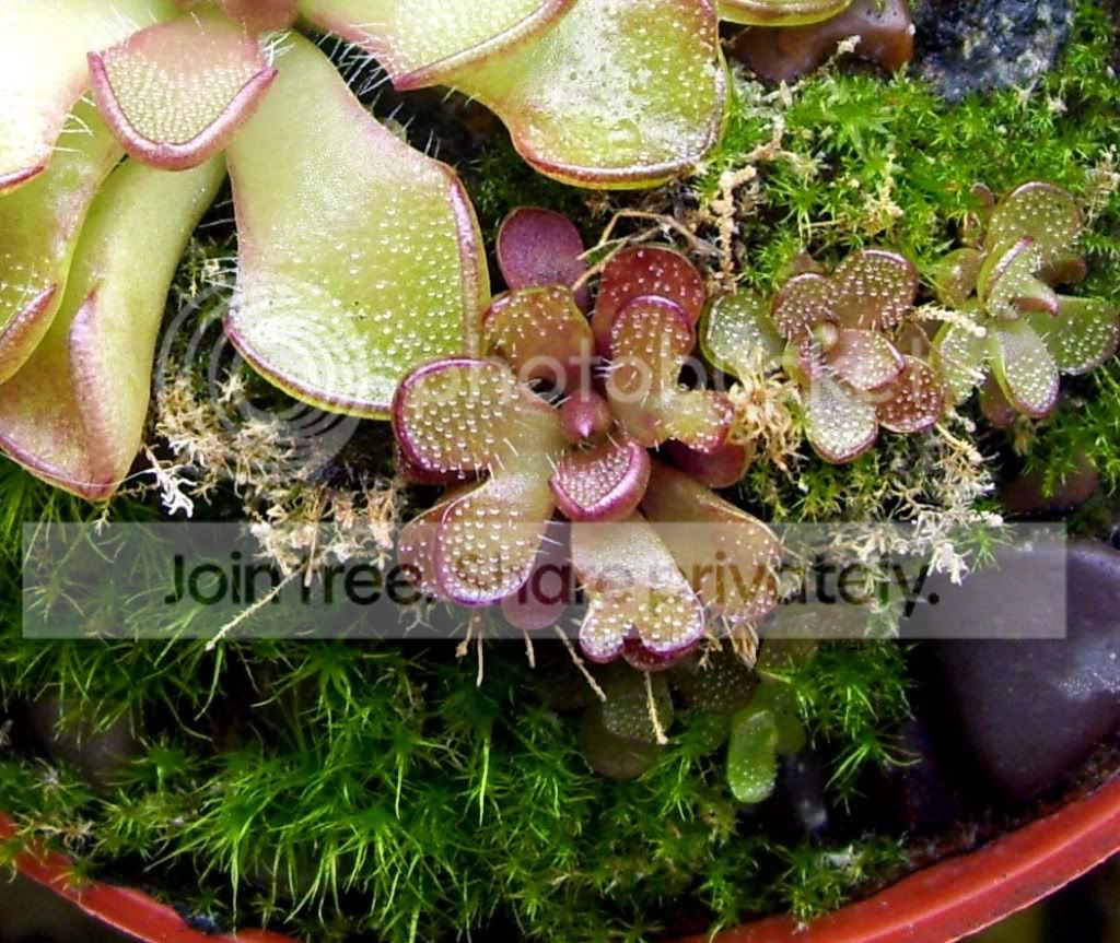 100_7663copy.jpg