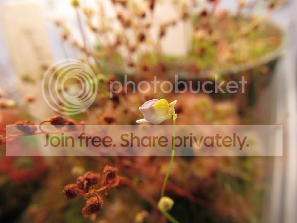 IMG_4300.jpg