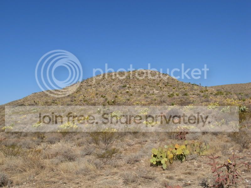 DSCN0049-1.jpg