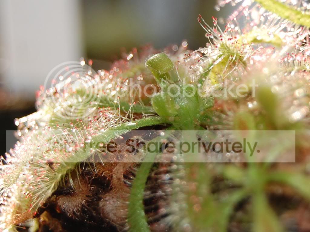 CSC_0178.jpg