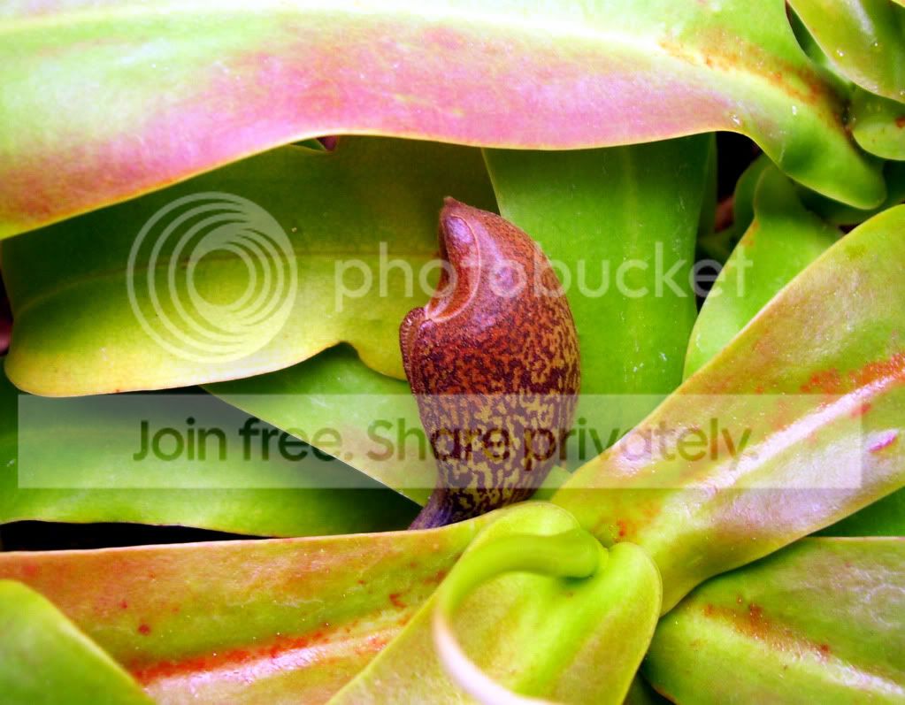 100_7510.jpg