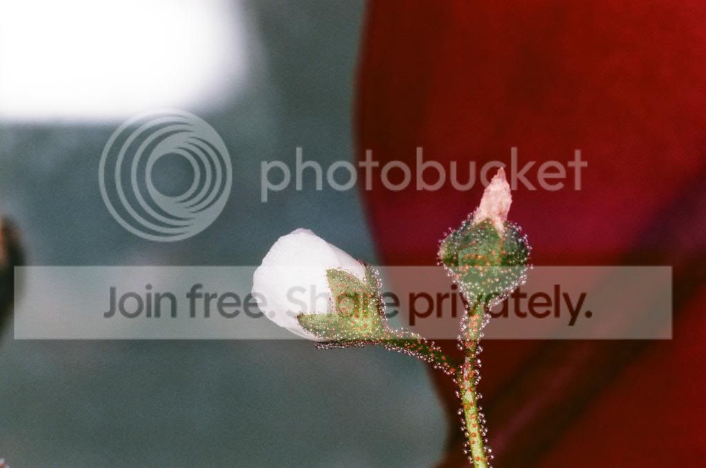 01220024.jpg