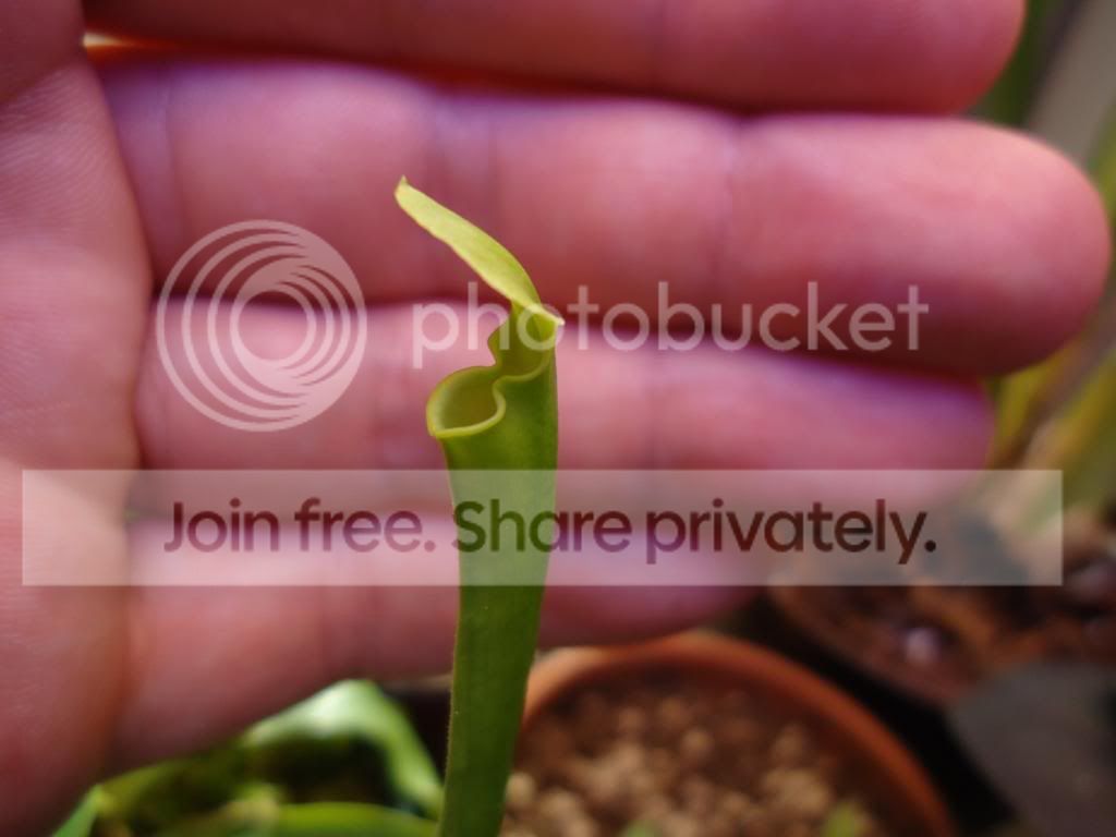 DSC07611_zps7b3bbdb1.jpg