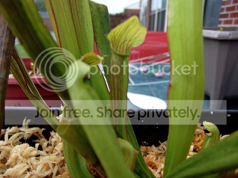 DSCF9070.jpg