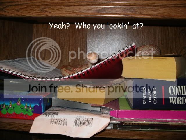 Osirisbookshelf3sm.jpg